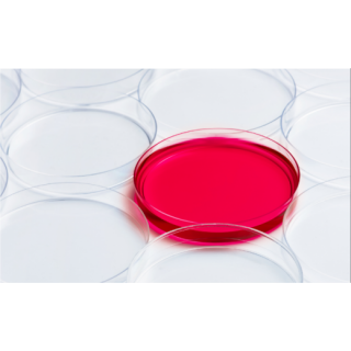 LabPro® 培養皿 Petri Dish